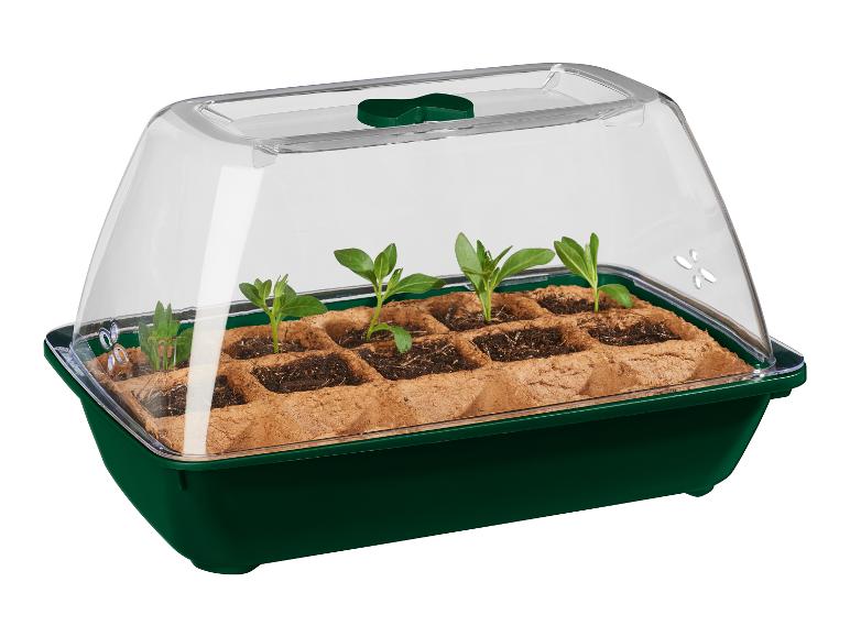Mini-kas met biologisch zaad