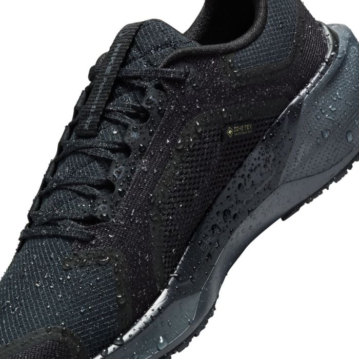 Nike Dame Løbesko Pegasus 41 Gore-Tex Sort