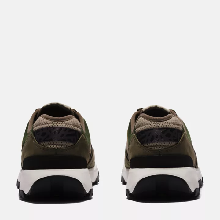 Basket Winsor Park pour homme en vert (foncé)