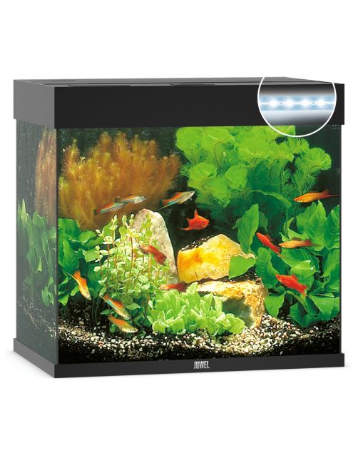 Juwel Aquarium Lido 120 Led 61x41x58 cm - Aquaria
