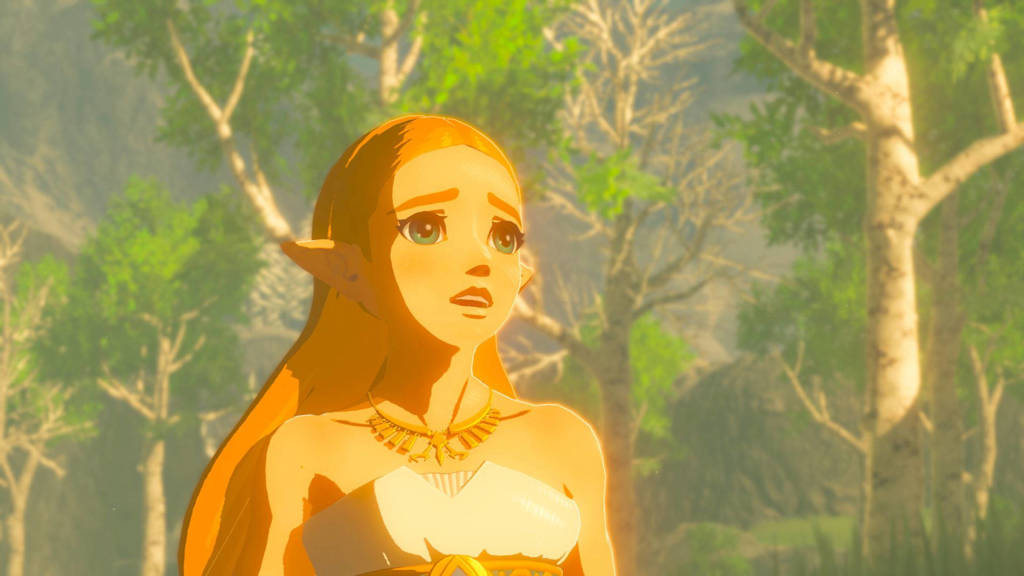 GoedThe legend of Zelda: Breath of the Wild (Nintendo Switch)