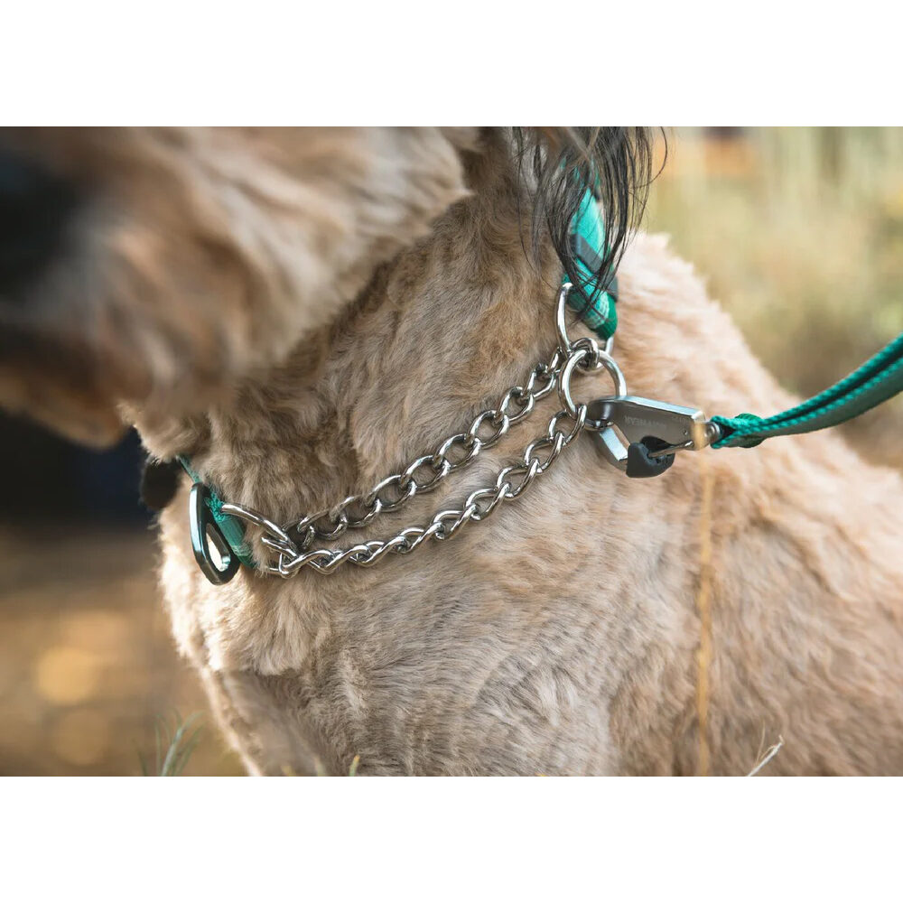 Ruffwear Chain Reaction Halsband
