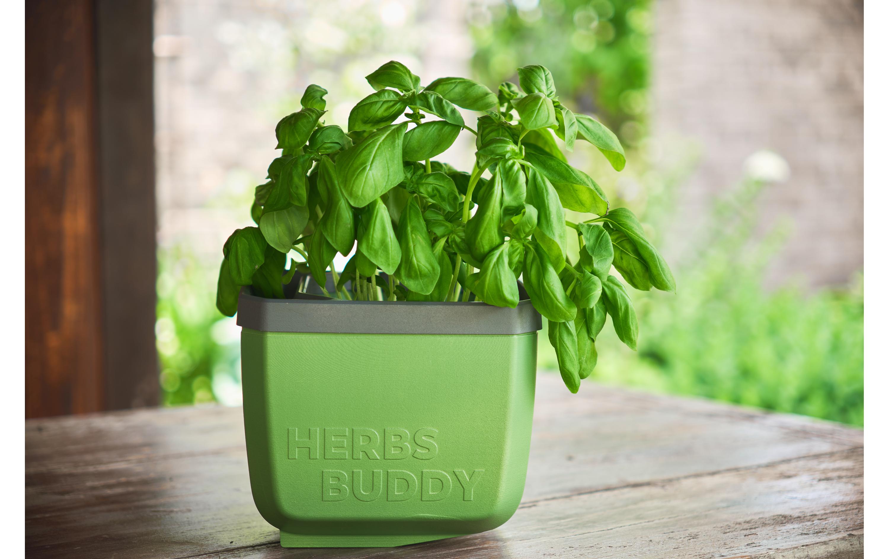 HERBS BUDDY Kräutertopf DunkelgrünKräutertopf mit Wasserreservoir und Kippfunktion