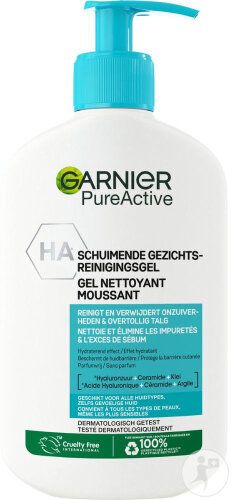 Garnier Skinactive Gel Nettoyant Purifiant Moussant Flacon Pompe 250ml