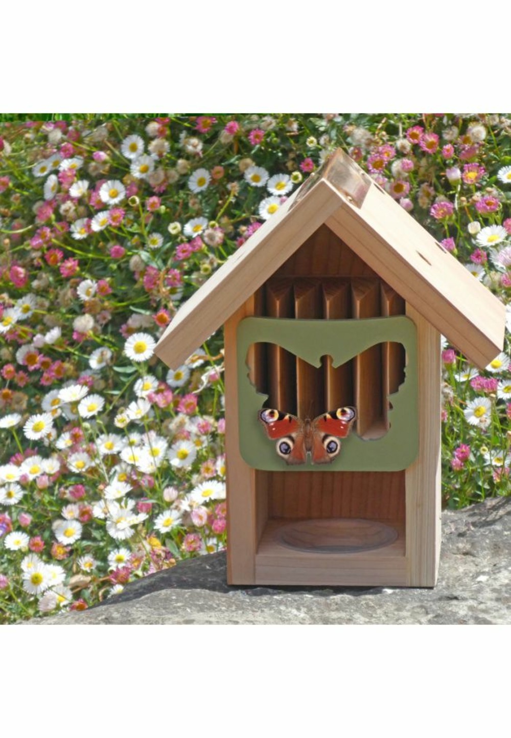 Mangeoire à papillons (avec nectar)