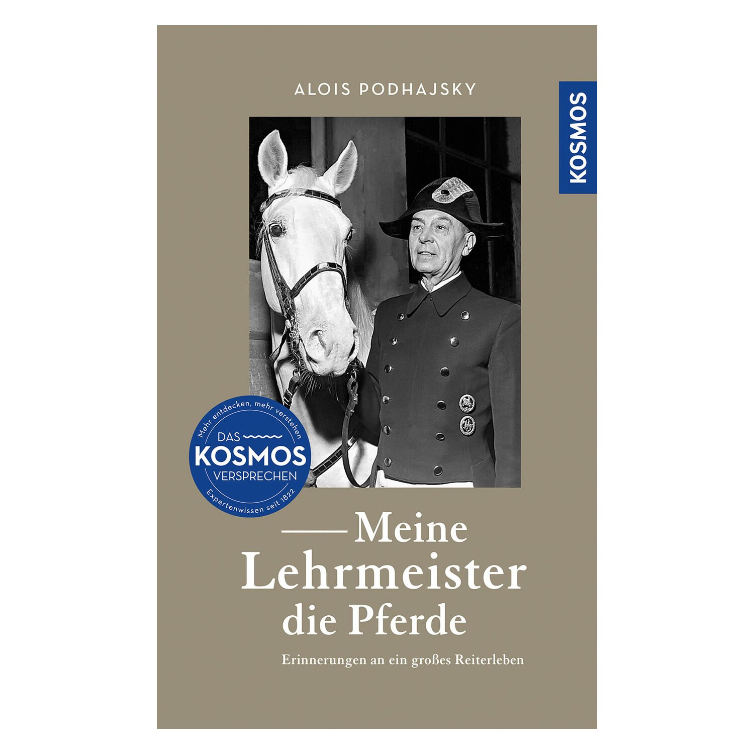 Meine Lehrmeister die Pferde