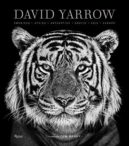David Yarrow Photography: Americas Africa Antarctica Arctic Asia Europe (Hardback)