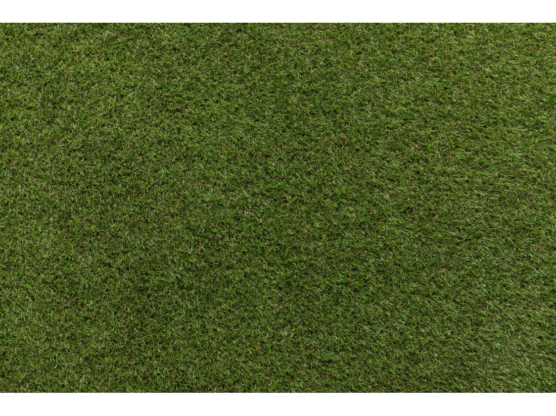 GAZON SYNTHÉTIQUE HAVANA dimensions standards 100x200 cm