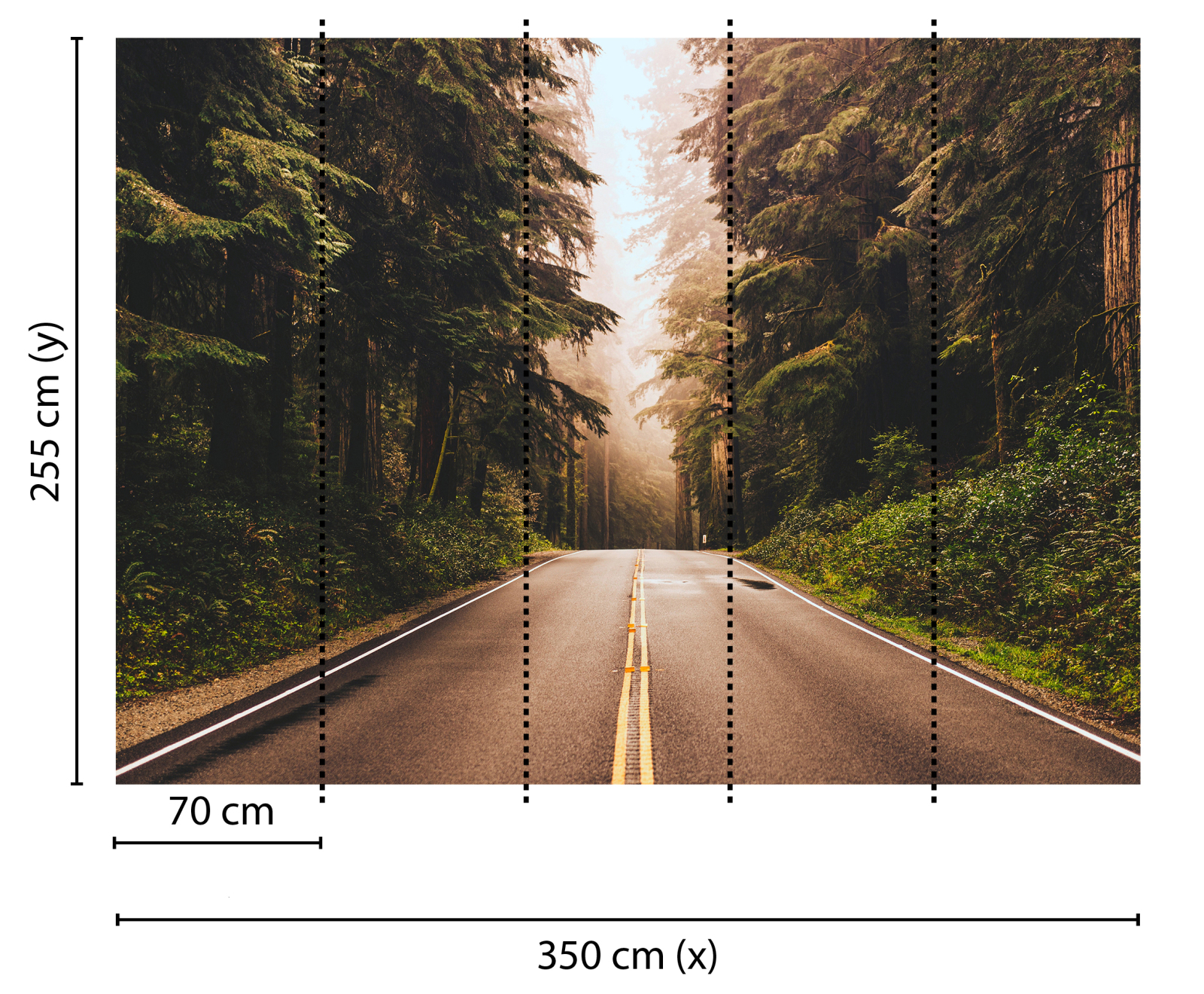 Fototapete DESIGNWALLS - braun-grün - Wald - 2,55 Meter