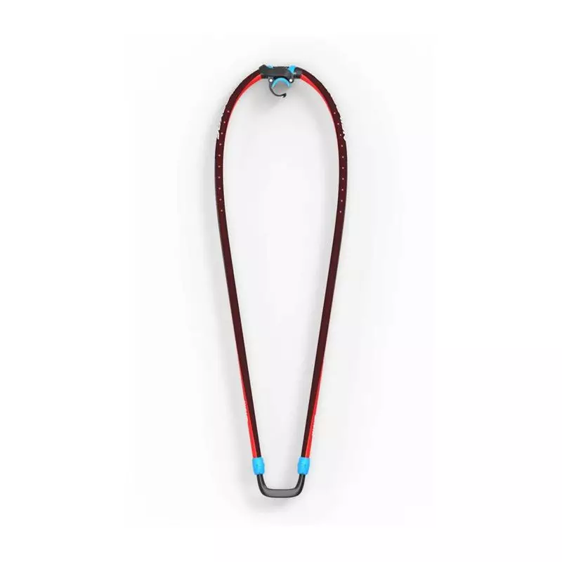 Wishbone Carbone NEILPRYDE XC-S