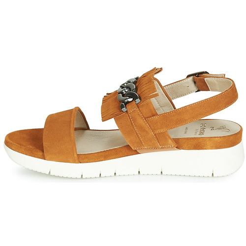Dorking - 7863 - Marron