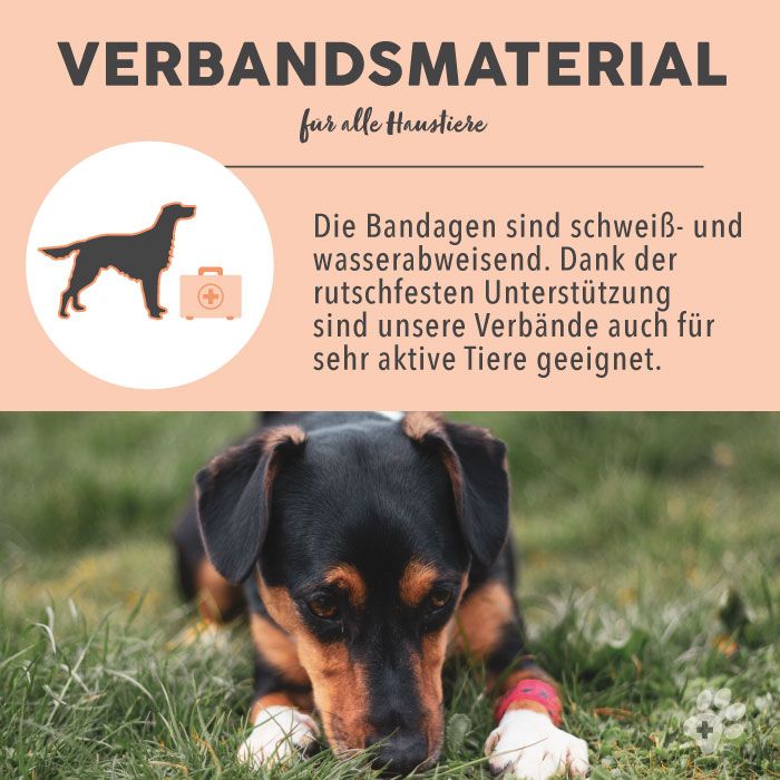 PAWS&PATCH Selbsthaftende Verbände PIRATEN BOX 6er-Set für alle Heimtiere