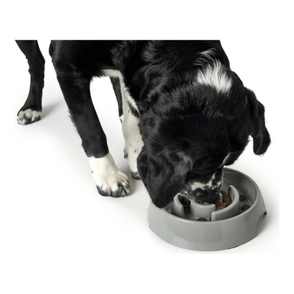 Mangeoire pour chiens mélamine (550 ml)