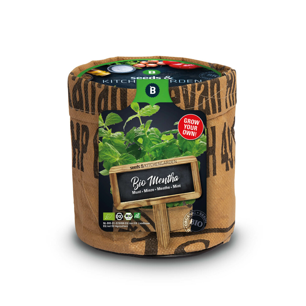 Baza Keukentuintjes Set Kruiden1 set