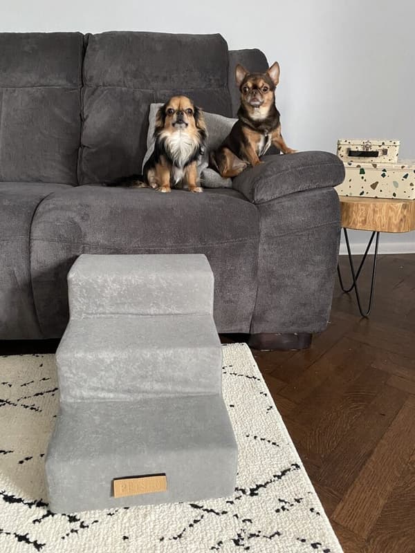 Hunde/katttrapp 4 trinn - grønn