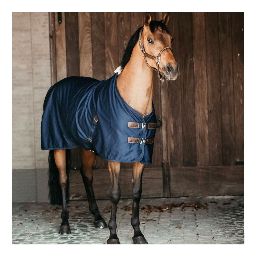 Kentucky COTON - Chemise navy