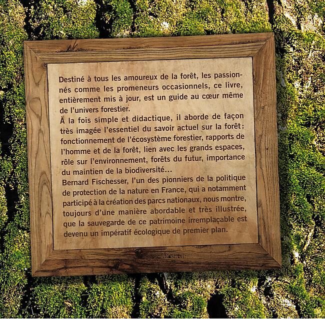 DELACHAUX  NIESTLE - LA VIE ILLUSTREE DE LA FORET