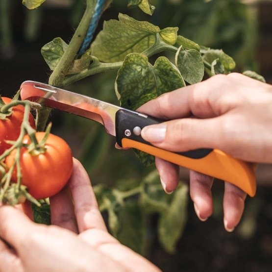 X-series Folding produce knife K80