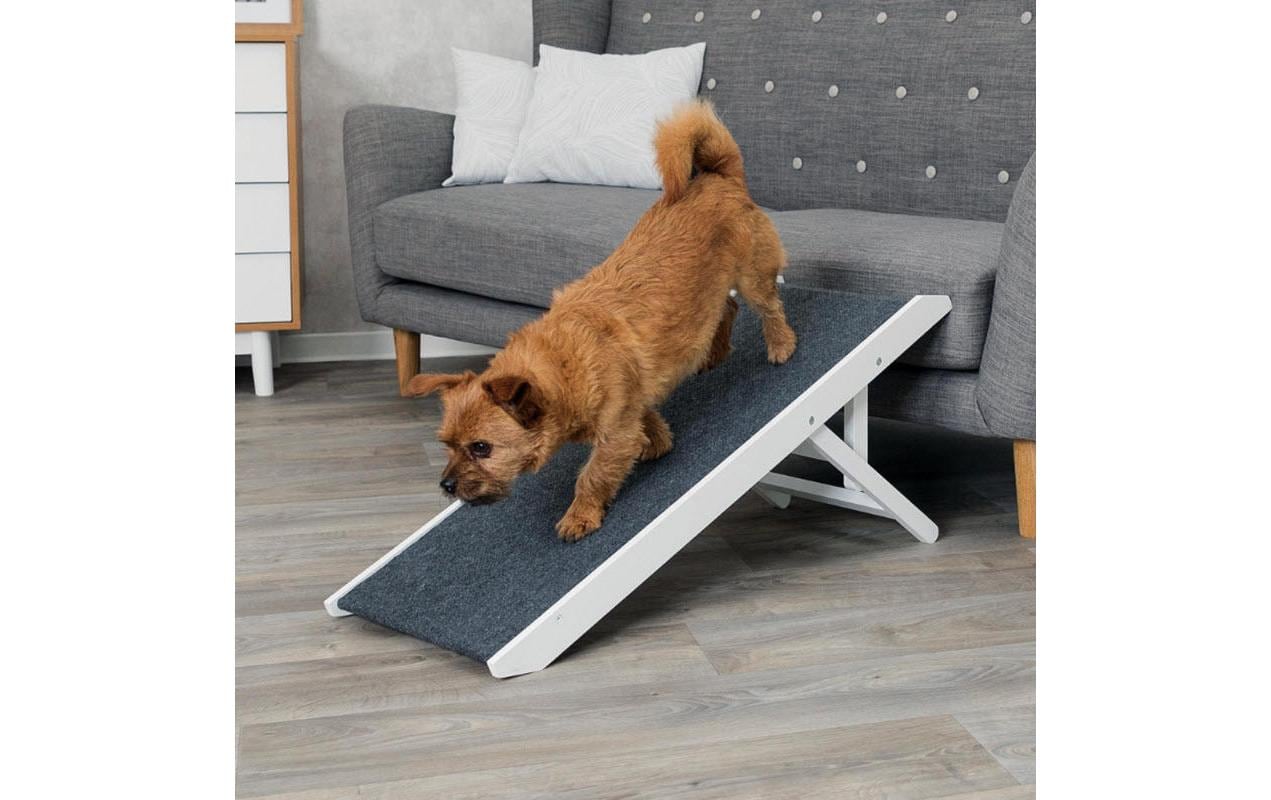 Klapp-Rampe höhenverstellbar 36 x 90 cmZusammenklappbare, höhenverstellbare Rampe für Haustiere