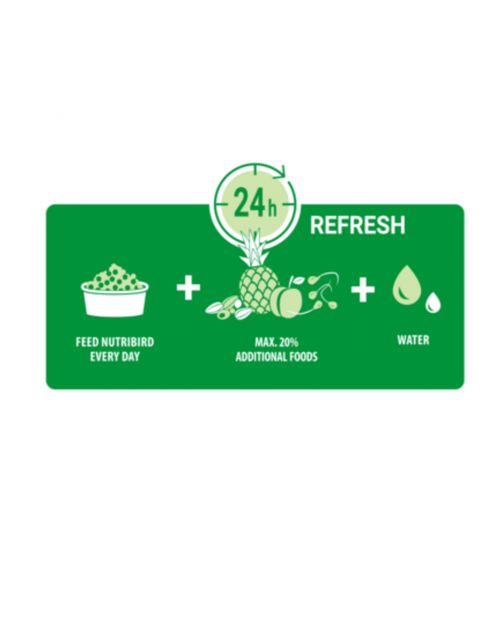 Versele-Laga Nutribird Tropical Fruit Patee - Vogelvoer