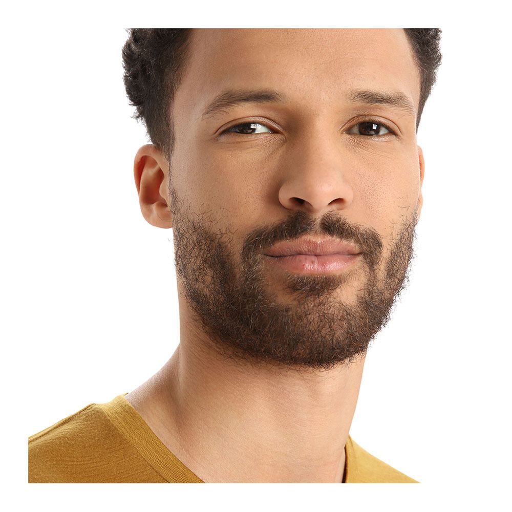 Icebreaker TECH LITE II - Tee-shirt Homme clove
