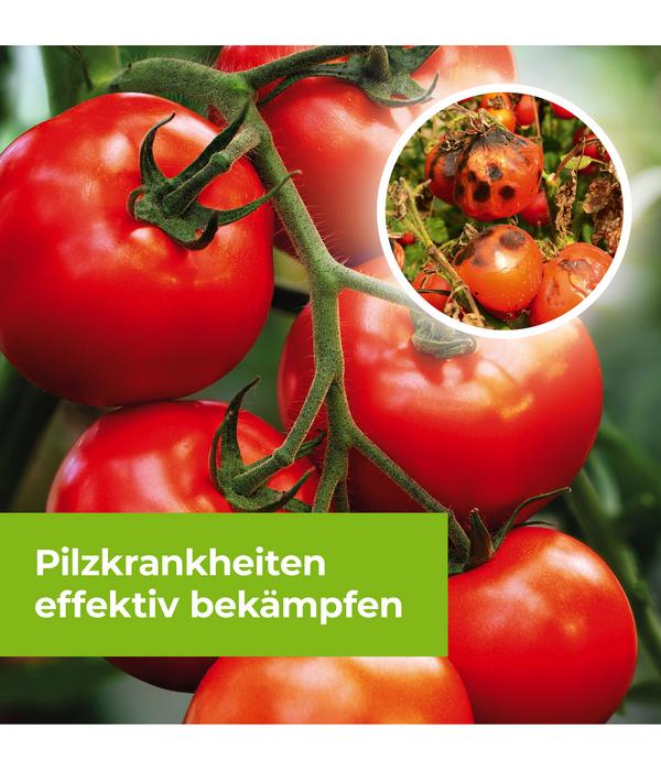 PROTECT GARDEN Curamat AZ Rosen-Pilzfrei,