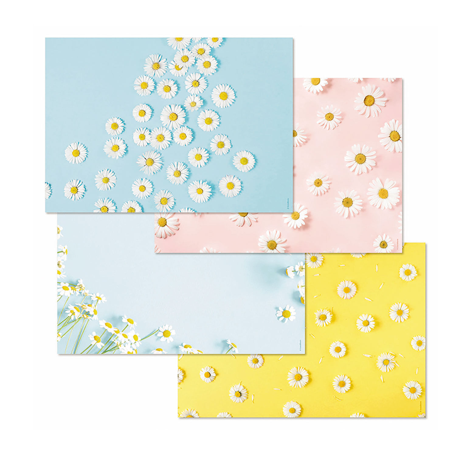 Papiertischset Daisy