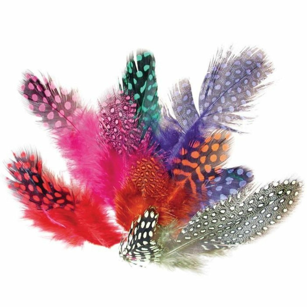 200 plumes colorées de pintade