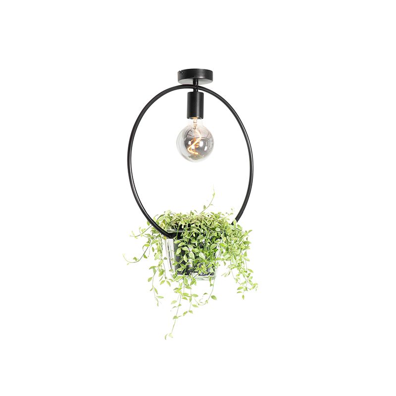 Moderne plafondlamp zwart met glas rond - Roslini