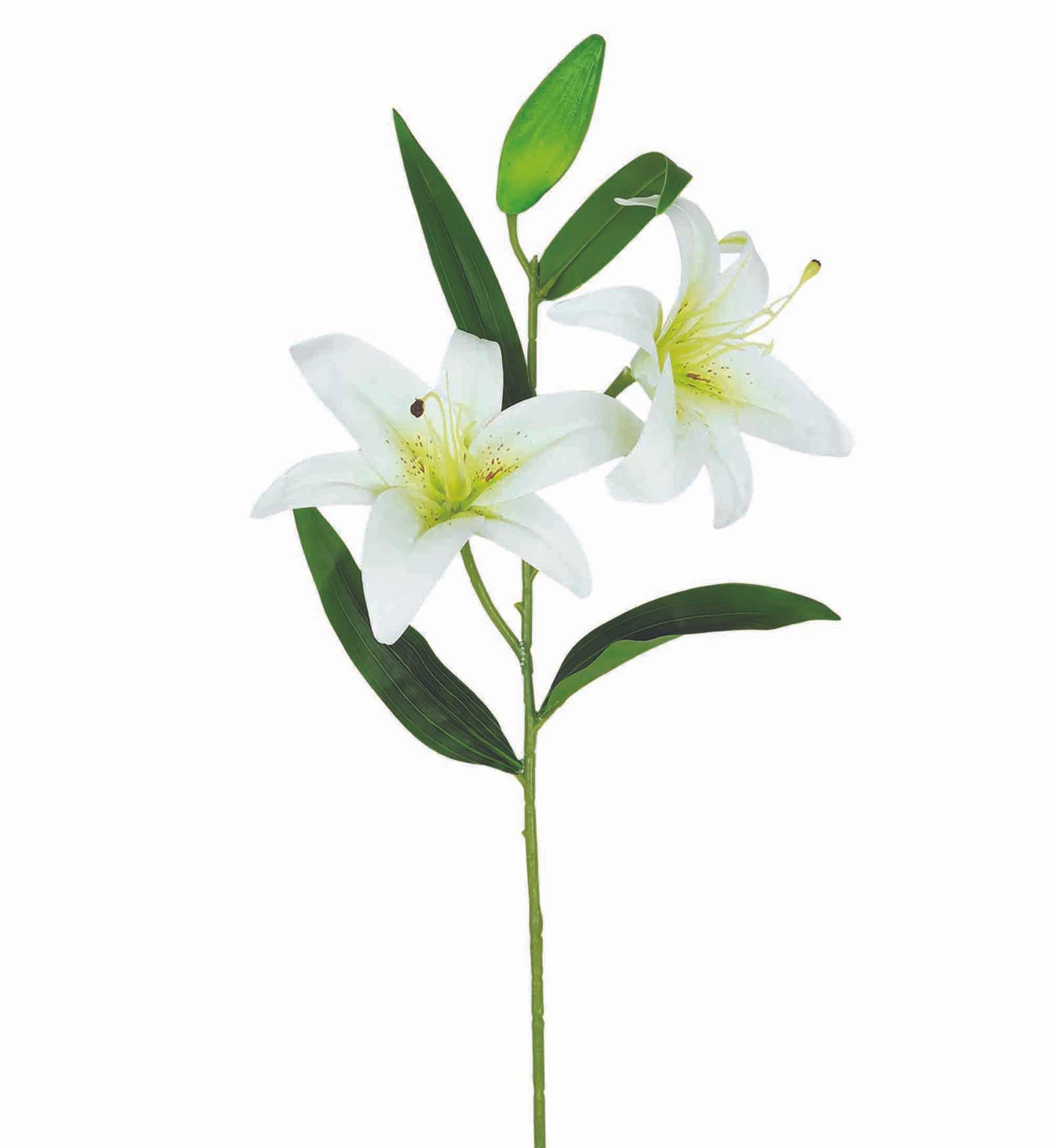 TIGE LYS 2 FLEURS ET UN BOURGEON H.77CM BLANC