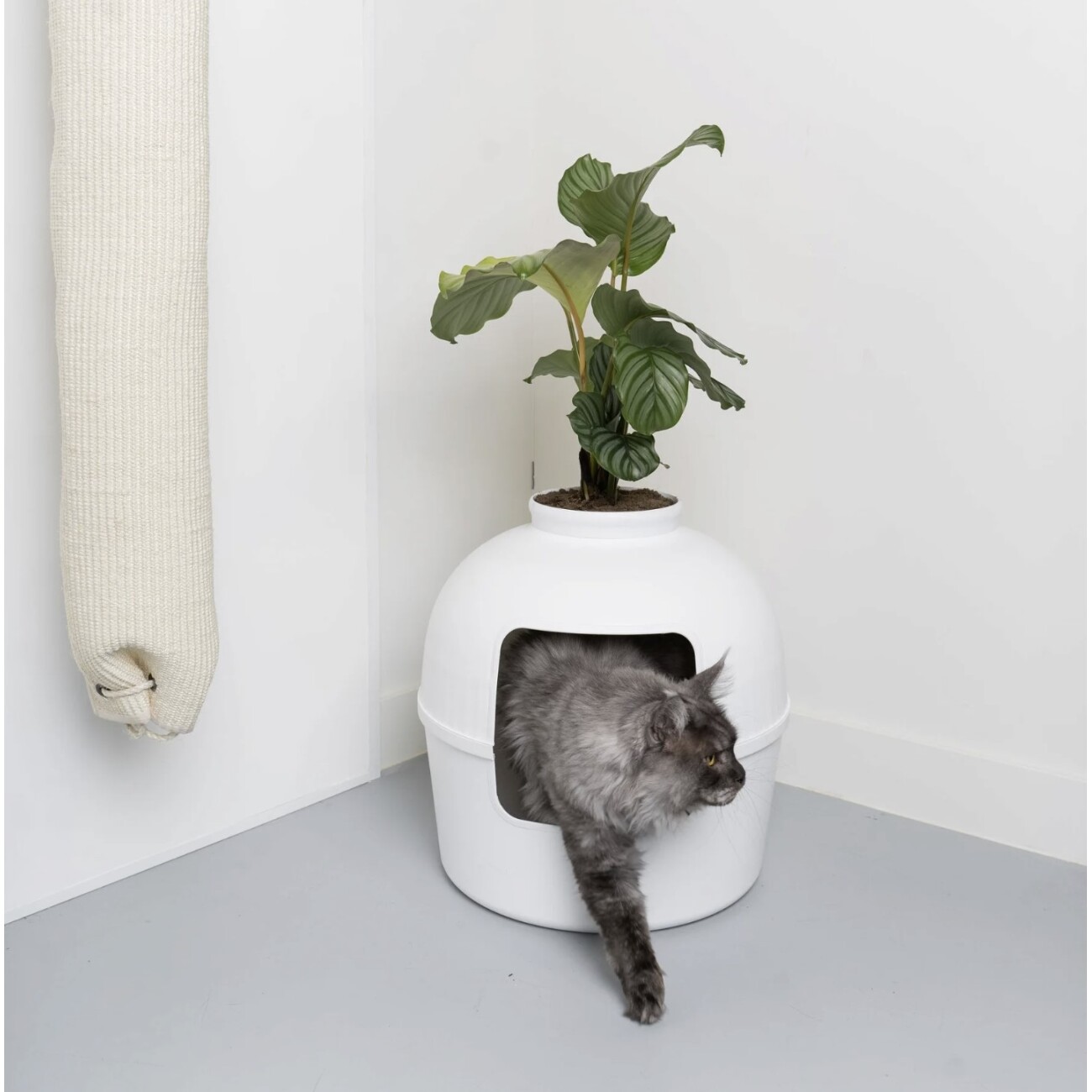 RHR Quality Katzentoilette Flower XXL weiß