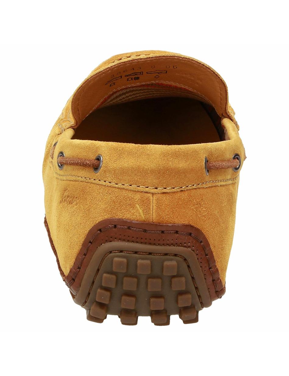 Slipper Callimo