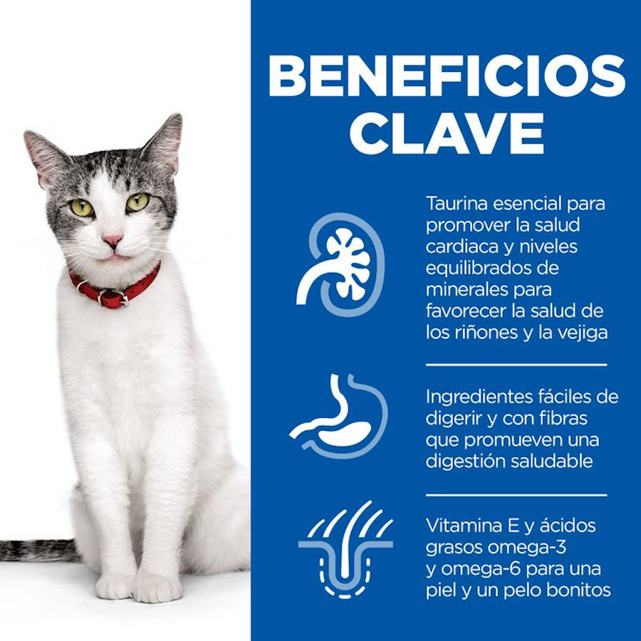 Ração para gatos Hill's Science Plan Senior 11+ sabor frango