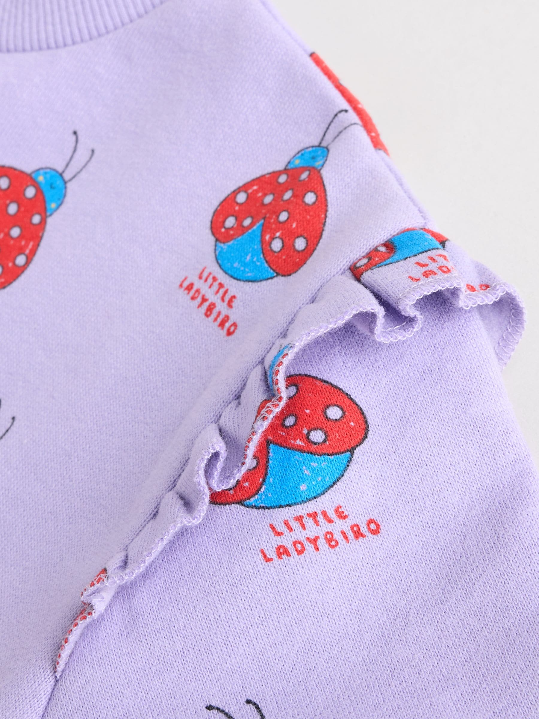 Paarse Lieveheersbeestje - Set van 2 -delige Baby Sweater en Joggingbroeken (0mnd -2jr)