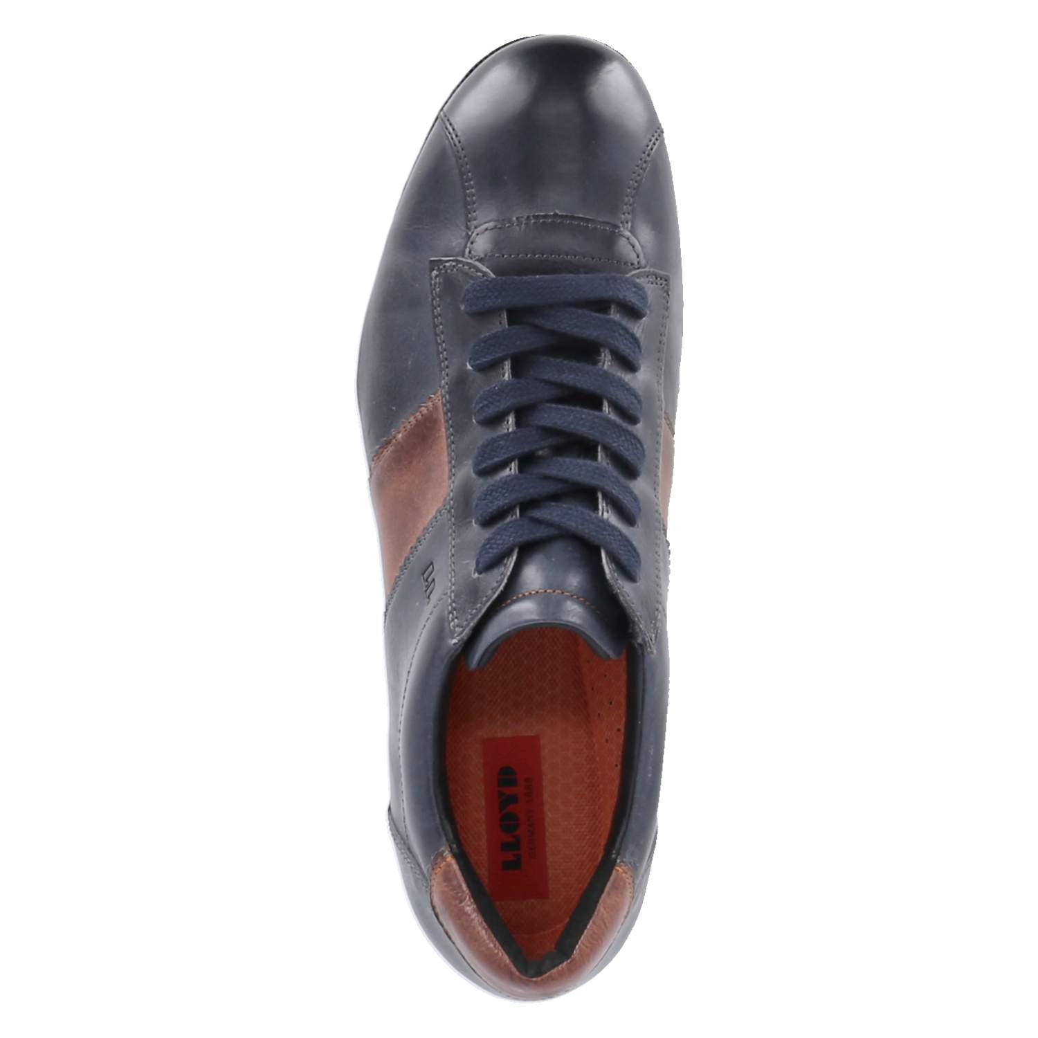 Lloyd Low Sneaker BARKER - 1 - kenia/midnight