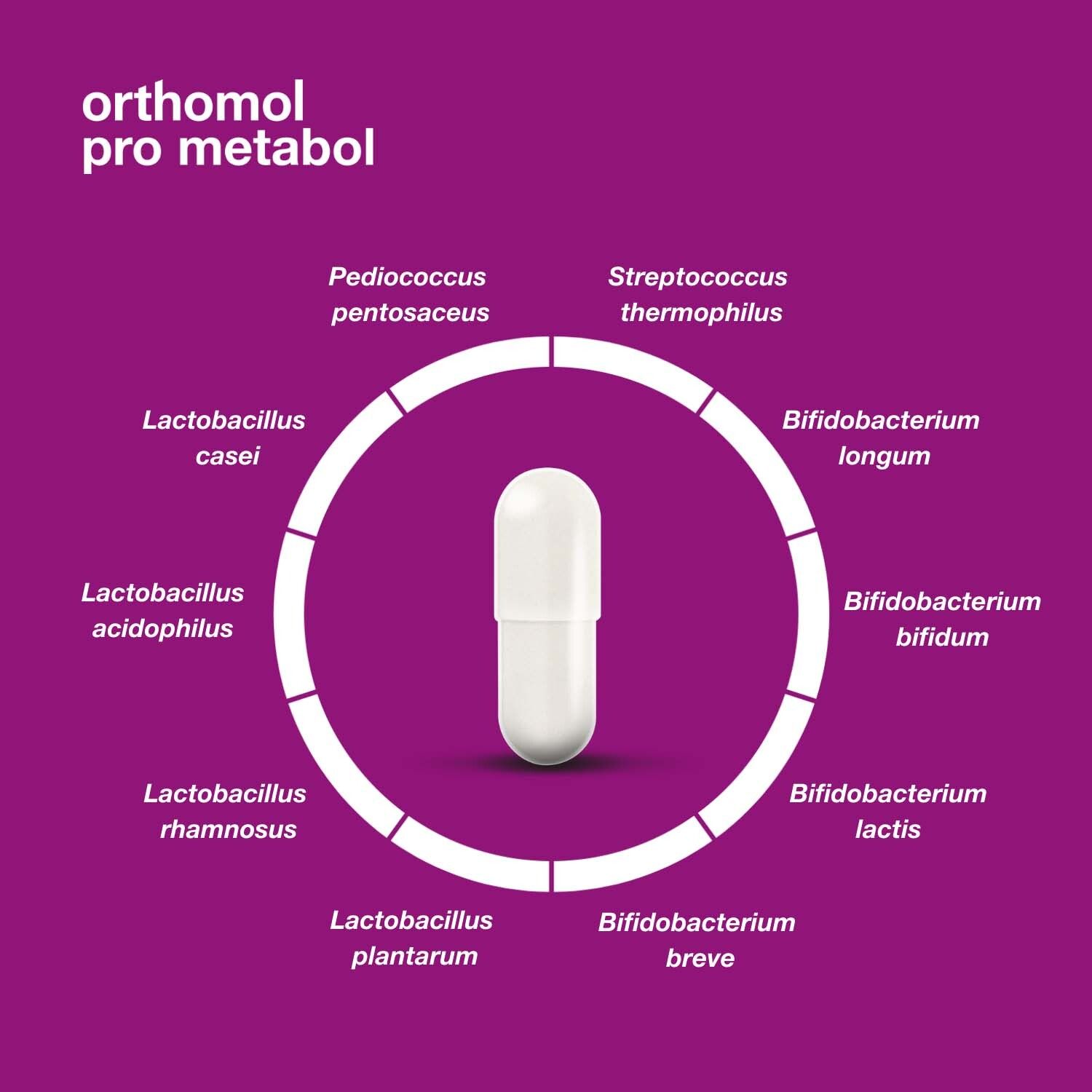 Orthomol Pro metabol - enthält eine Kombination ausgewählter Darmsymbionten und Zink - Kapseln