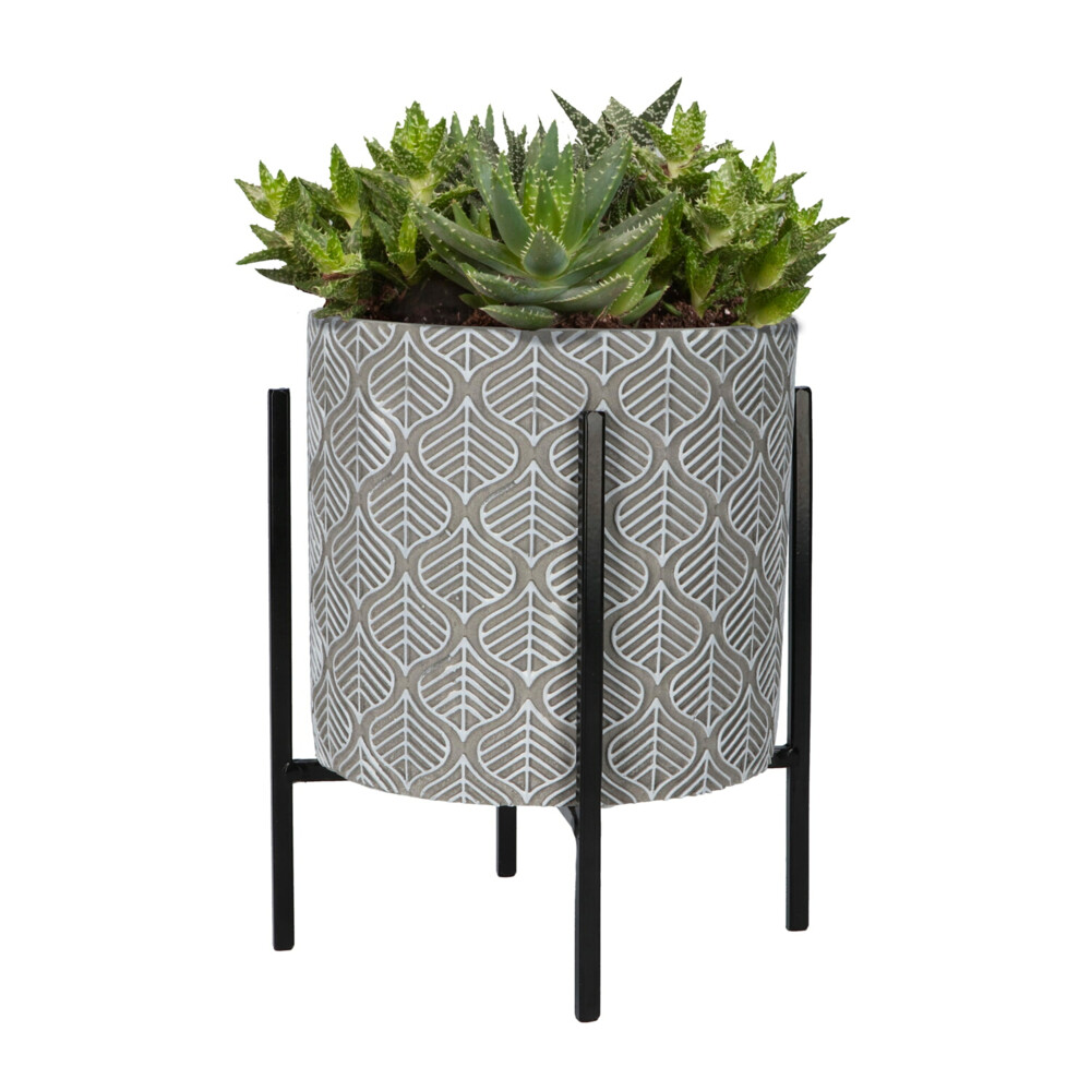 Buzzy House Plants Plantenpot in Standaard met Aloe Vera Zaden