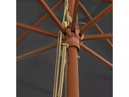 Parasol de jardin avec mât en bois anthracite 400x273 cm