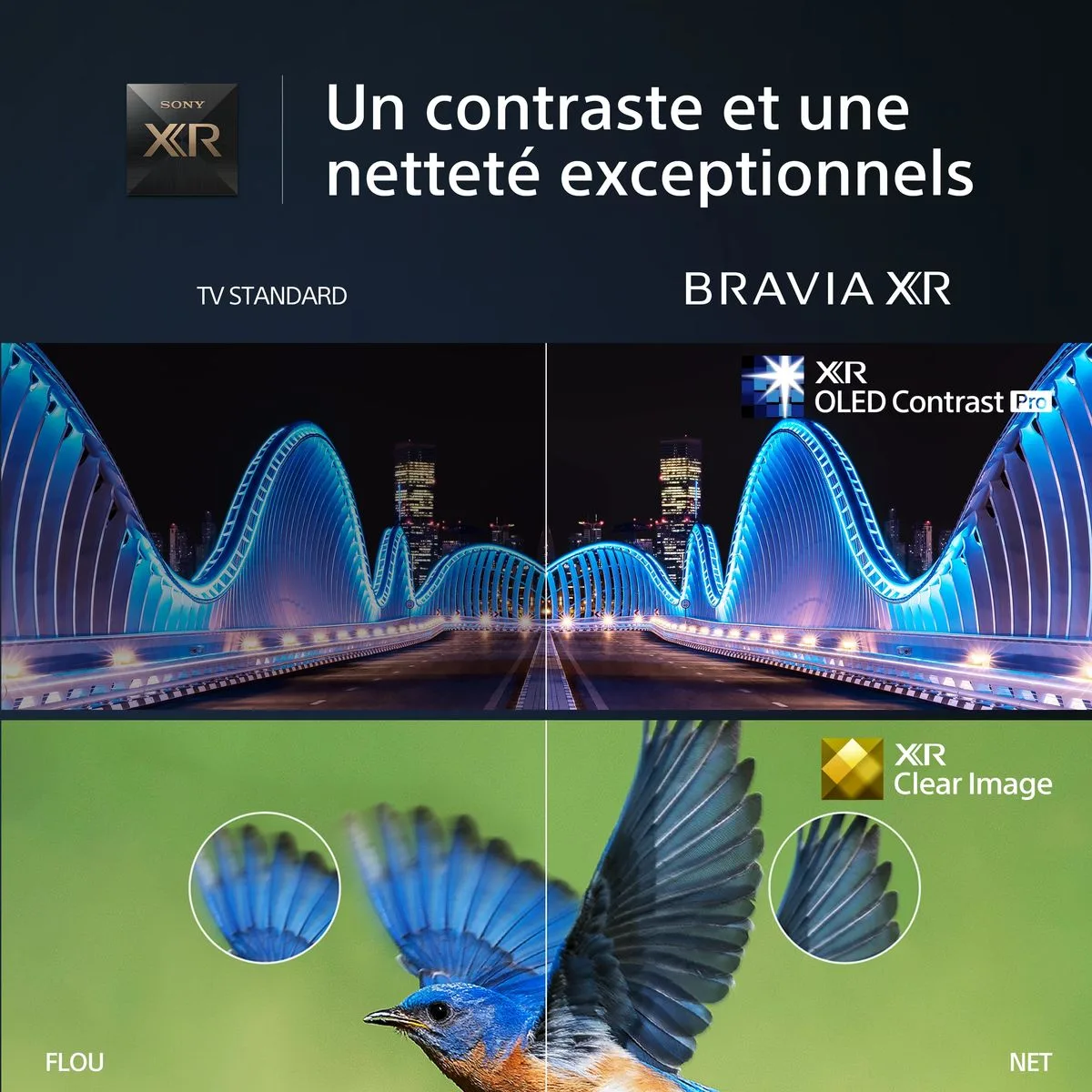 Sony XR-65A80L TV OLED