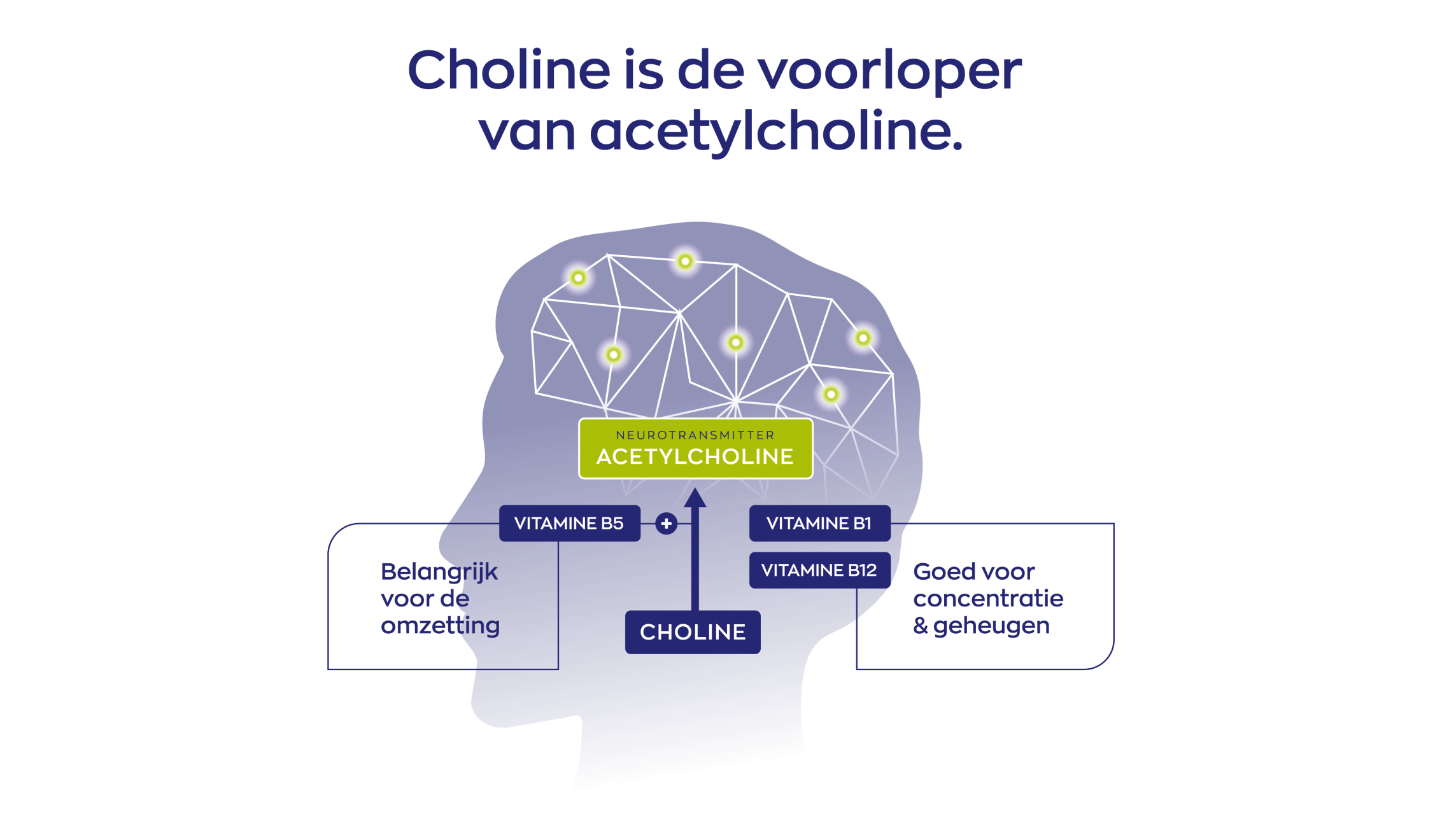Choline Complex