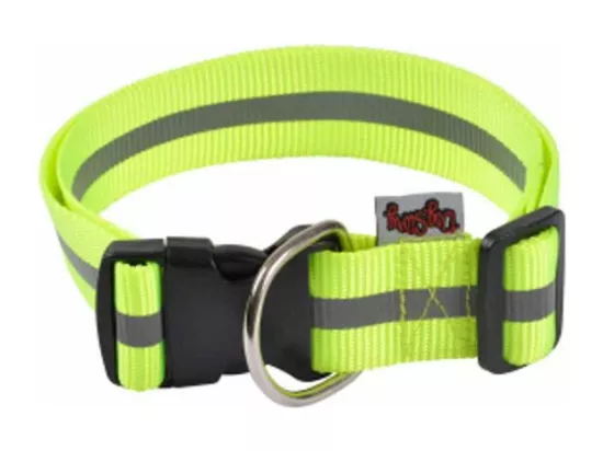 Collier Pour Chien 