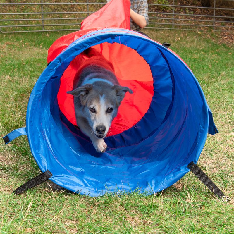 Sac tunnel Agility Fun & Sport à prix discount sur bitiba.fr