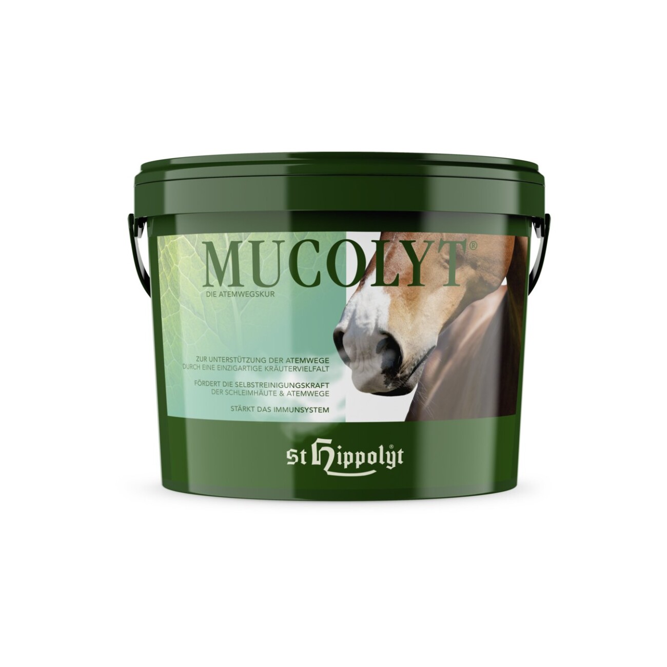 St. Hippolyt Atemwegskur Mucolyt 10 kg