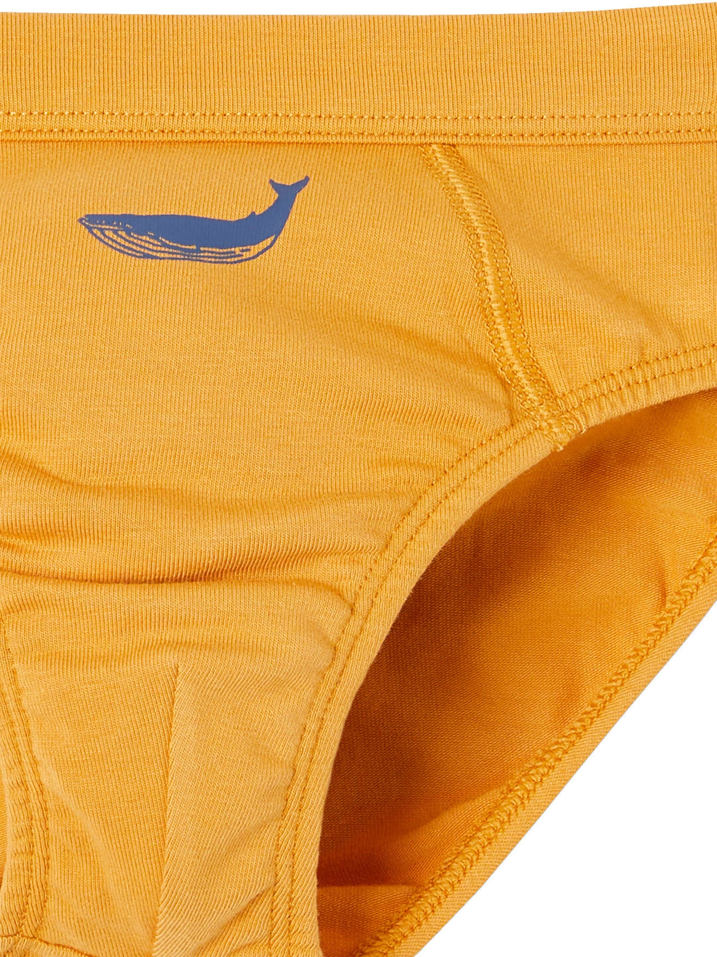 Vertbaudet 7er-Pack Jungen Slips mit Bio-Baumwolle, Wale himmelblau