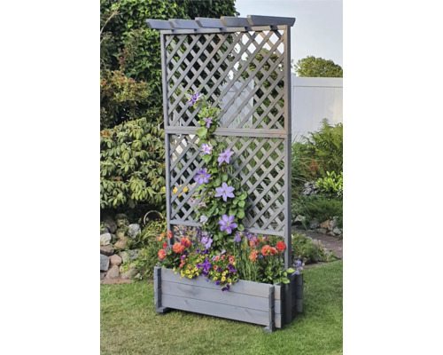 Houten trellisbak met pergola 102 x 65 x 200 cm grijs
