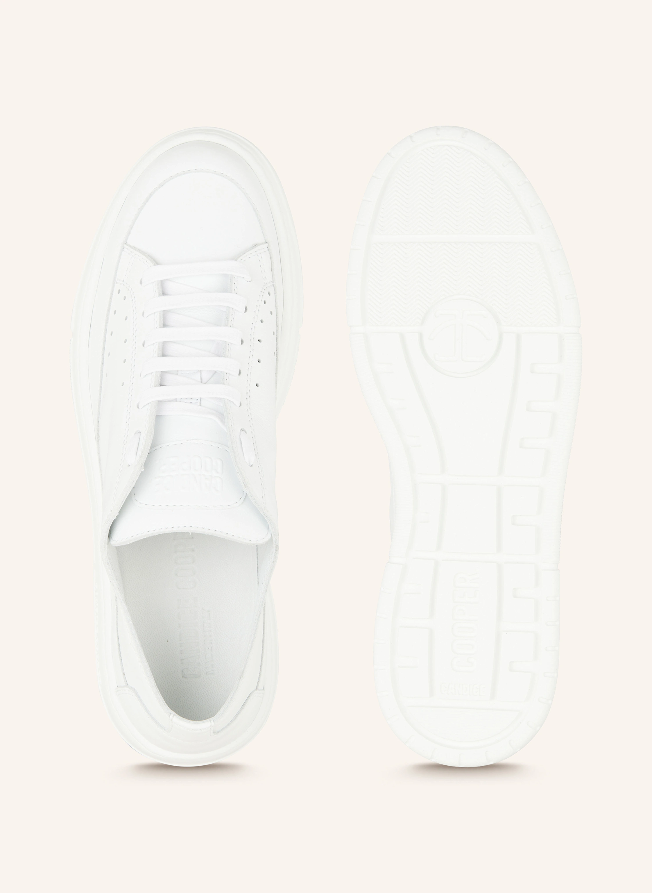 Candice Cooper Sneaker TEA