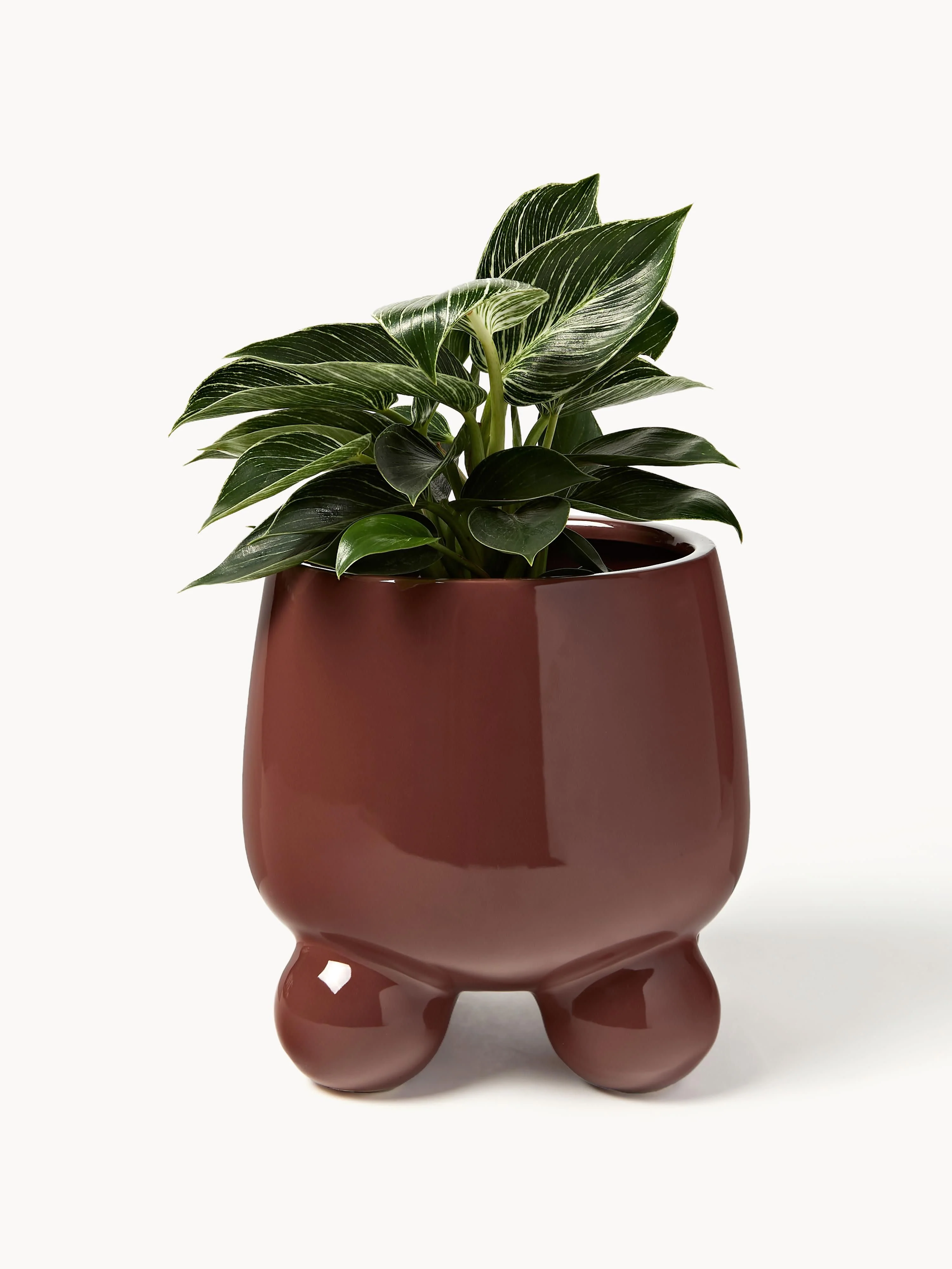 Plantenpot Olea, H 26 cm