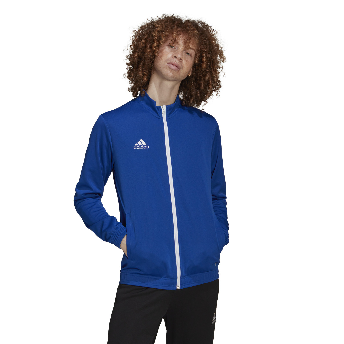 Adidas Entrada 22 Trainingsjack Blauw Wit