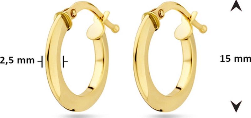 14K geelgoud oorringen 4032189
