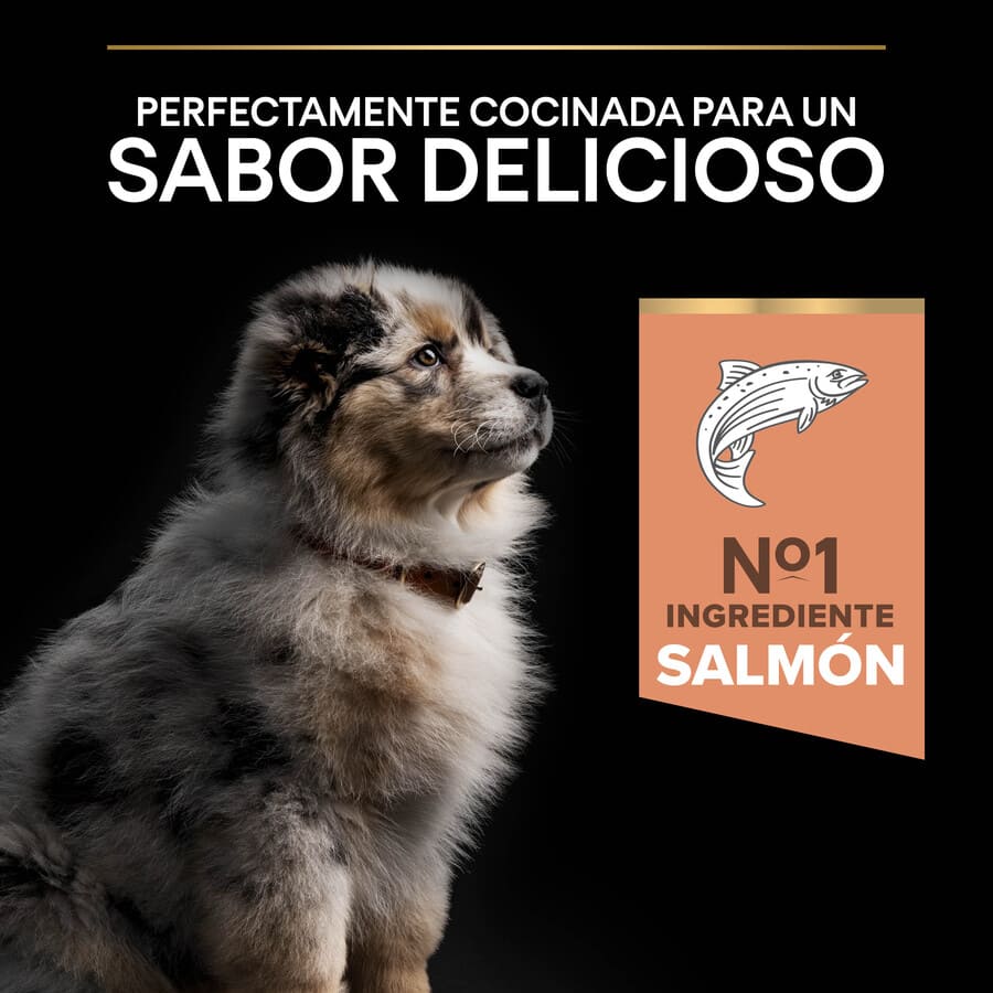 Ração Pro Plan Puppy Medium Salmão para filhotes com pele sensível.